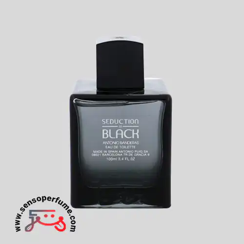 عطر آنتونیو باندراس سداکشن این بلک